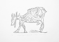 koza ze Zwardonia III bis.JPG